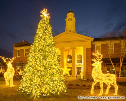 Christmas Tree at West Hartford Town Hall, West Hartford, Connecticut