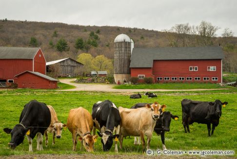 Perry Dairy Farm, Canton, Connecticut