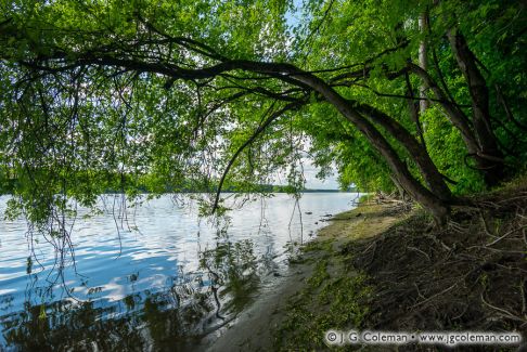 Connecticut River, Windsor Meadows State Park, Windsor, Connecticut