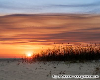 Dauphin Island, Alabama