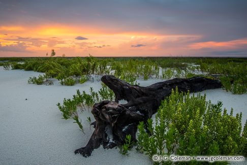 Dauphin Island, Alabama