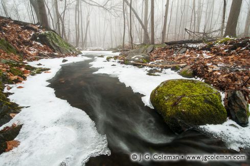 Unnamed Branch of Wepawaug River, Alice Newton Street Memorial Park, Woodbridge, Connecticut