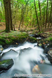 Bailey Brook, Ayer's Gap Preserve (Bailey's Ravine), Franklin, Connecticut
