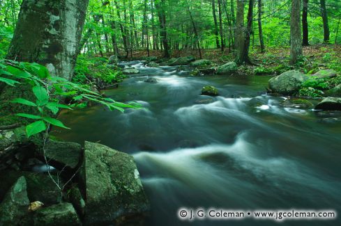 Hammonasset River, Bailey Preserve, Madison, Connecticut