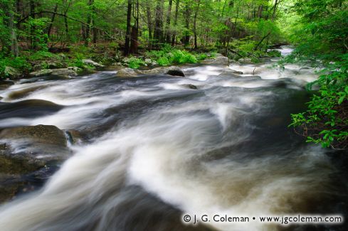 Hammonasset River, Bailey Preserve, Madison, Connecticut