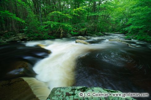 Hammonasset River, Bailey Preserve, Madison, Connecticut