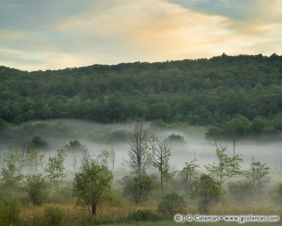 Misty meadow and wooded hills, Becket, Massachusetts
