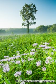 Bent of the River Audubon Sanctuary, Southbury, Connecticut