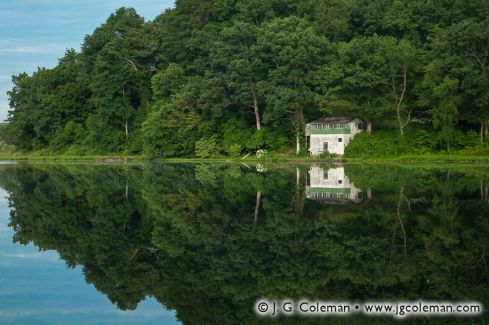 Black Pond State Wildlife Management Area, Middlefield, Connecticut