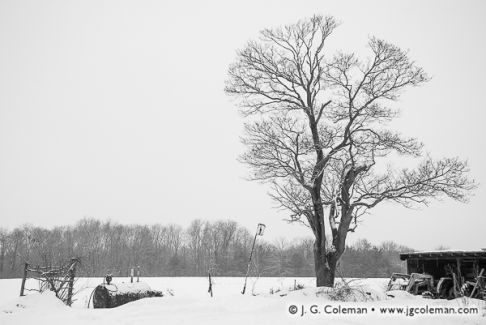 Snowy Farmland, Eastern Connecticut