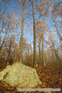 Blackledge Falls Park, Glastonbury, Connecticut