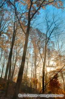 Blackledge Falls Park, Glastonbury, Connecticut