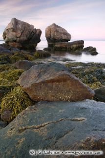 Bluff Point State Park, Groton, Connecticut