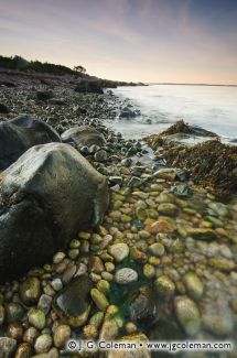 Bluff Point State Park, Groton, Connecticut
