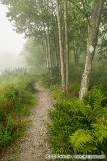 Bull Pond Preserve, Harwinton, Connecticut