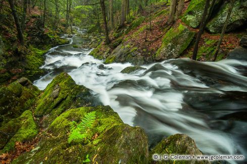 Upper Burlington Falls on Bunnell Brook, Burlington, Connecticut