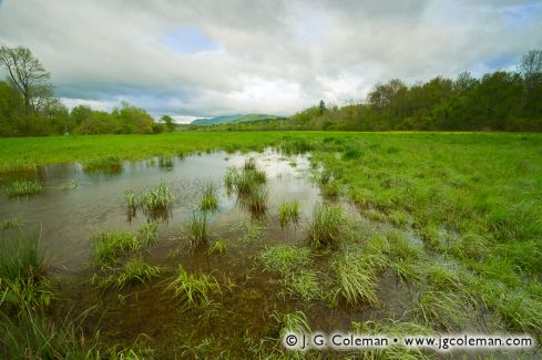 Flooded Meadows Beside Castleton River, Castleton, Vermont