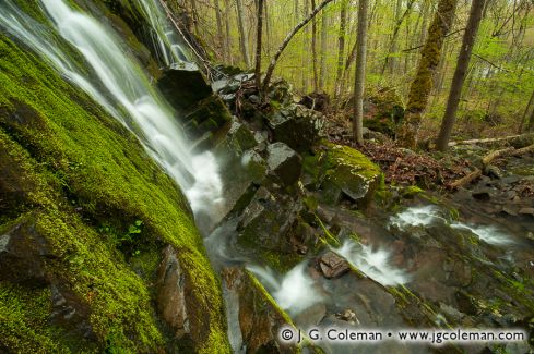 Waterfall on the Cathles Trail, Simsbury, Connecticut