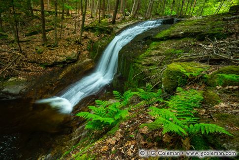 Chapel Falls, Chapel Brook Reservation, Ashfield, Massachusetts