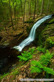 Chapel Falls, Chapel Brook Reservation, Ashfield, Massachusetts