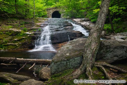 Chapel Brook, Chapel Brook Reservation, Ashfield, Massachusetts