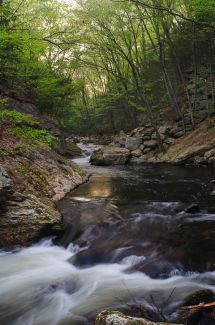 Roaring Brook, Glastonbury, CT
