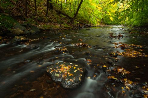 Roaring Brook, Glastonbury, CT