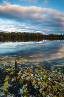 Connecticut River, Glastonbury, CT