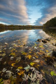Connecticut River, Glastonbury, CT