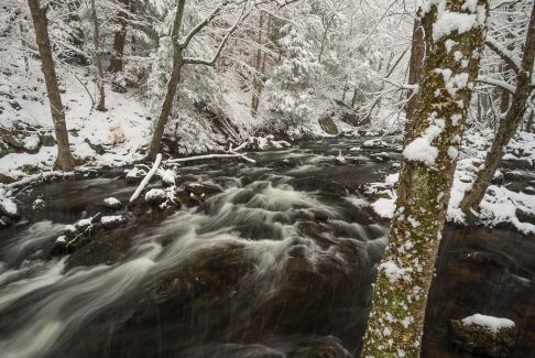 Roaring Brook, Glastonbury, CT