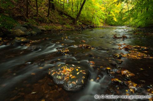 Roaring Brook, Cotton Hollow Preserve, Glastonbury, Connecticut