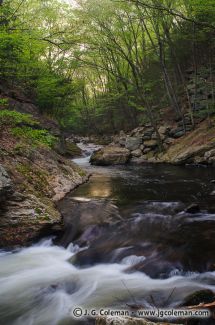 Roaring Brook, Cotton Hollow Preserve, Glastonbury, Connecticut