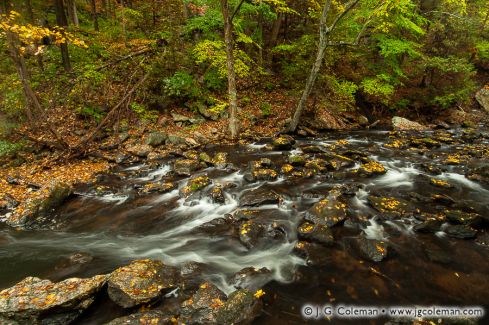 Roaring Brook, Cotton Hollow Preserve, Glastonbury, Connecticut