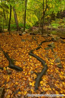 Cotton Hollow Preserve, Glastonbury, Connecticut