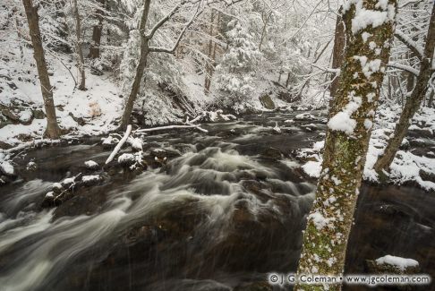 Roaring Brook, Cotton Hollow Preserve, Glastonbury, Connecticut