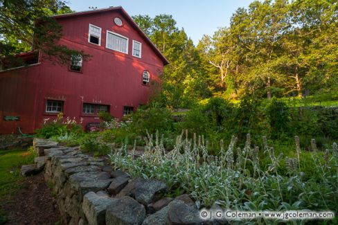 Barn and garden, Western Connecticut