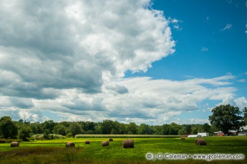 Hay field, Northern Connecticut