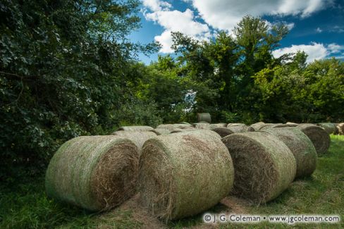 Hay Bales, Farmington River Valley