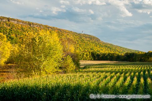 Corn field and Mountain, Farmington River Valley