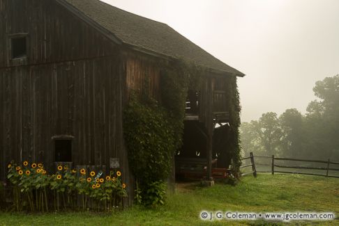 Barn and Mist, Western Connecticut