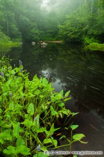 Eightmile River, Devil's Hopyard State Park, East Haddam, Connecticut