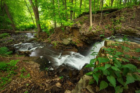 Dividend Falls, Dividend Pond Park & Archaeological District, Rocky Hill, Connecticut