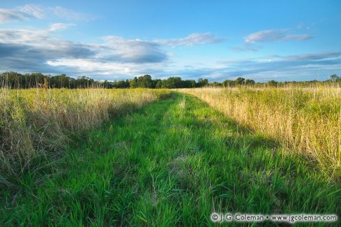 Durham Meadows State Wildlife Management Area, Durham, Connecticut