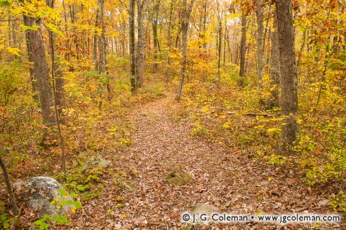 Finch Brook Preserve, Wolcott, Connecticut