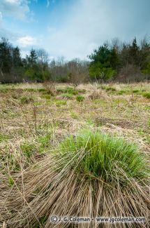 Fresh Meadows Wildlife Sanctuary, Cheshire, Connecticut