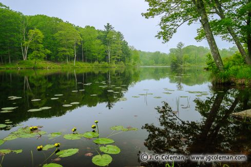 Gay City State Park, Hebron, Connecticut