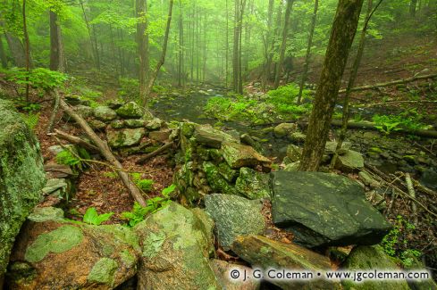 George Dudley Seymour State Park, Haddam, Connecticut