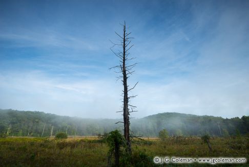 Great Mountain Forest, Norfolk, Connecticut