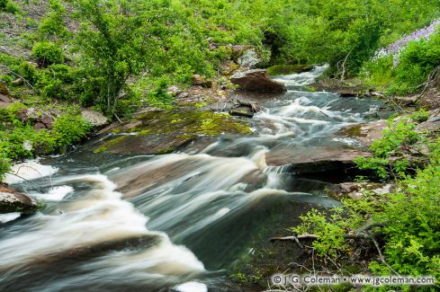 Griffin Brook Falls on Griffin Brook, Bloomfield, Connecticut