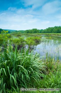 Haddam Meadows State Park, Haddam, Connecticut